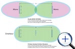 schema
                          comparatif mono ou portique